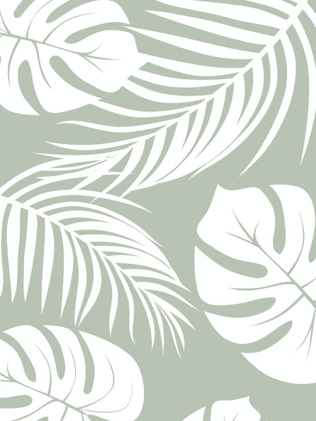 Palm Monstera Leaves