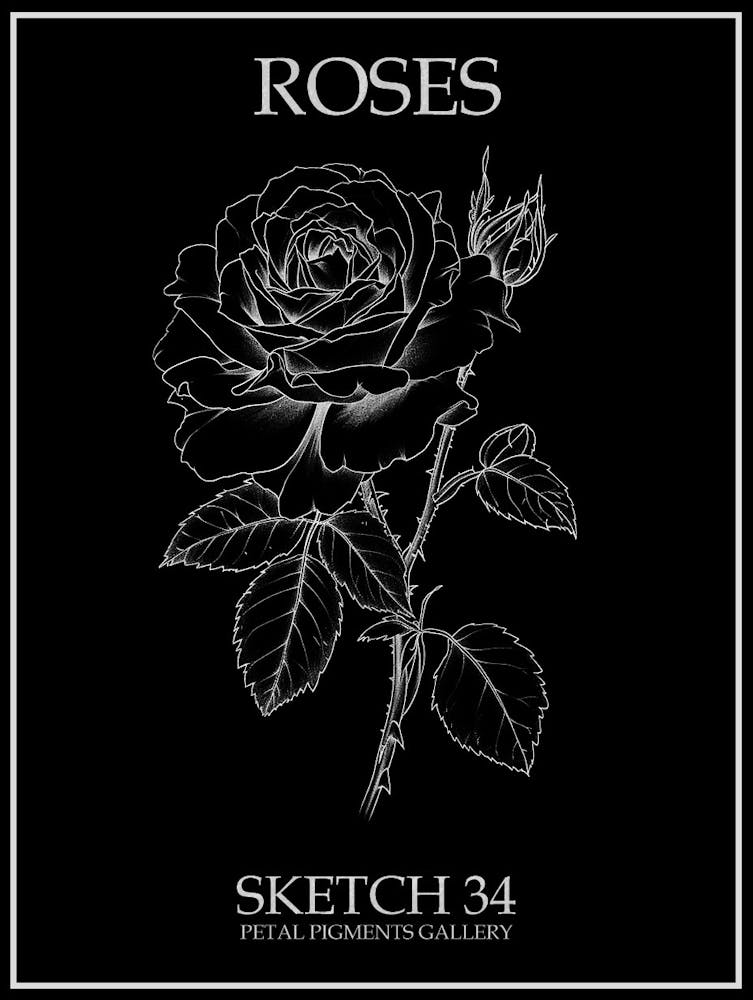 Roses Sketch 34 Poster Inverted