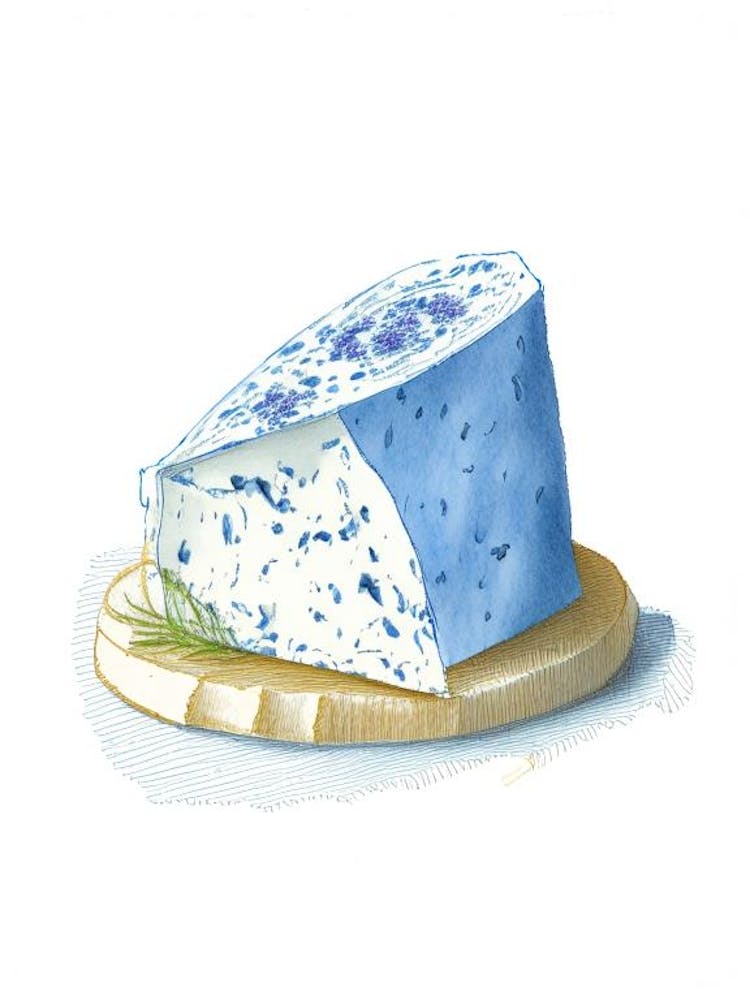 Gorgonzola Cheese Dairy Food Pencil Illustration