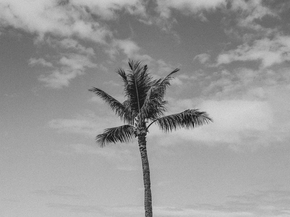 Hawaii