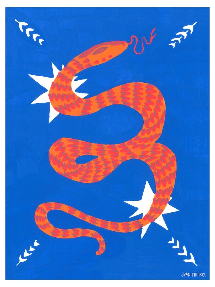 Snake And Stars