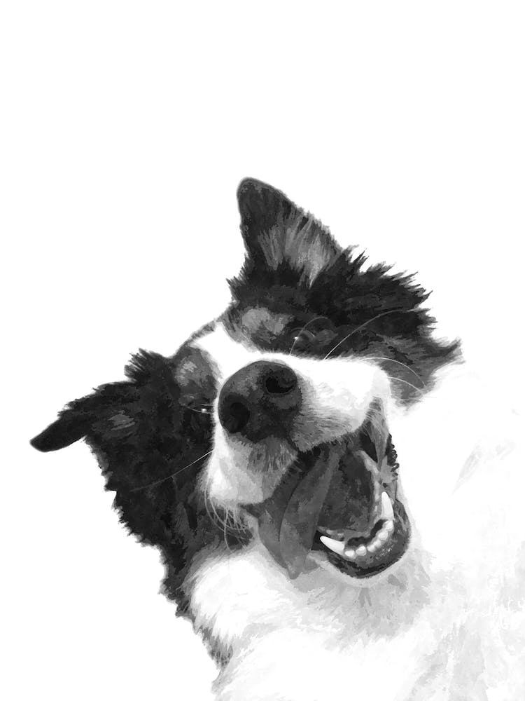 Black and White Happy Dog Watercolor