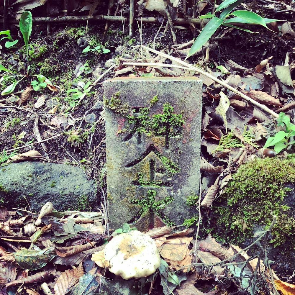 Roadside Marker, Japan