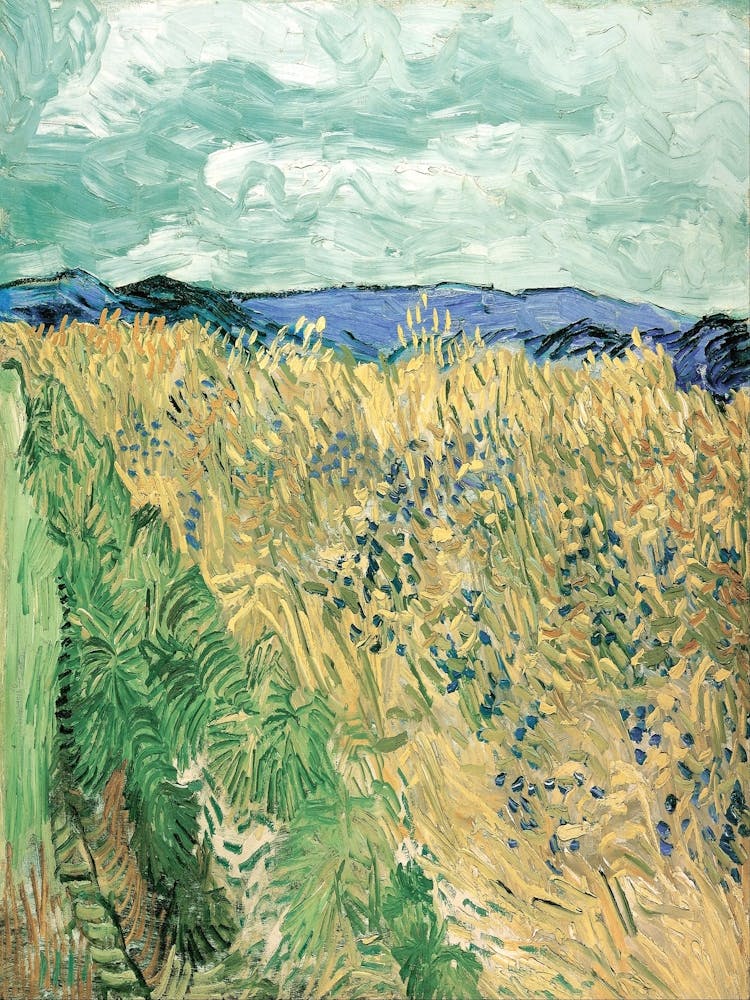 Wheat Field By Vincent Van Gogh 1