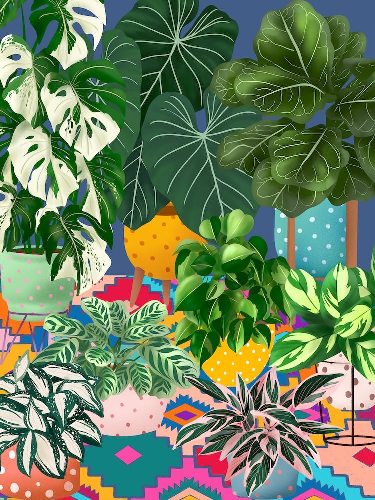 Colourful Plants Interior