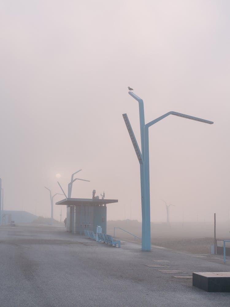 Boulevard Brumeux Scheveningen