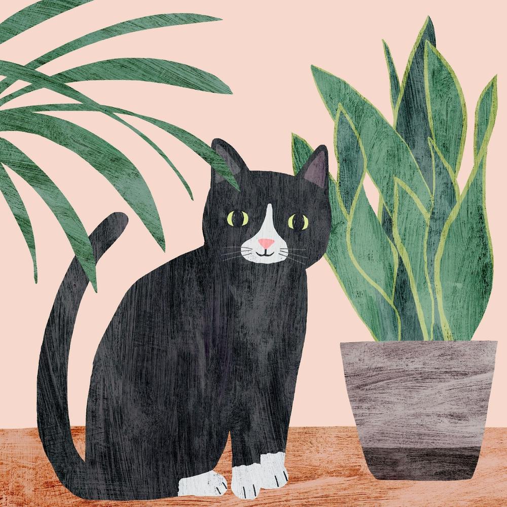 Black Cat And Green Plants Square
