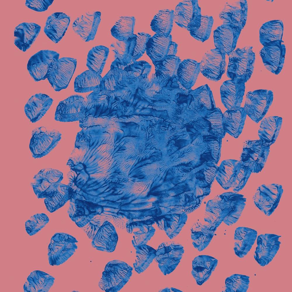 Brush Push One Apricot Square