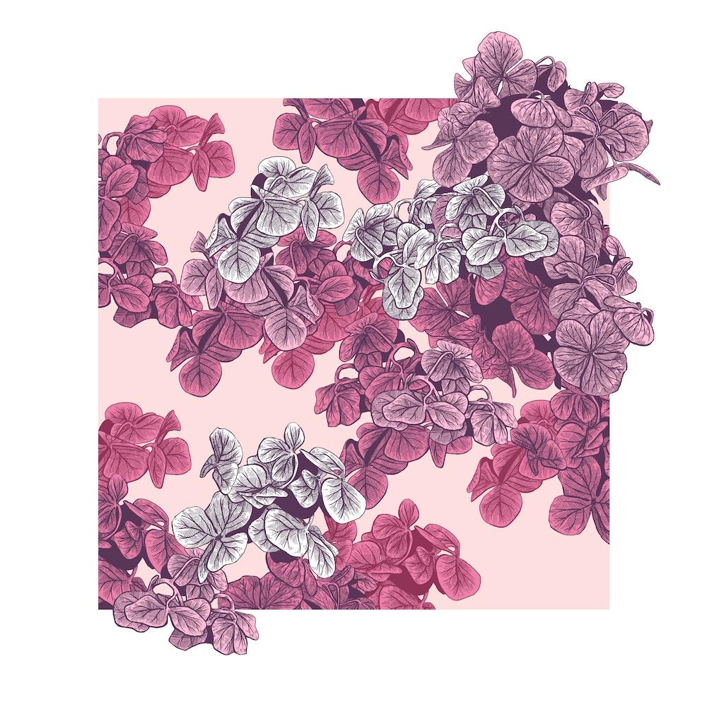 Seasons Spring Square