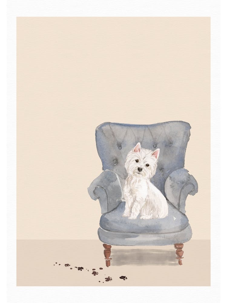 Mignon Westie Boueux Sur Chaise