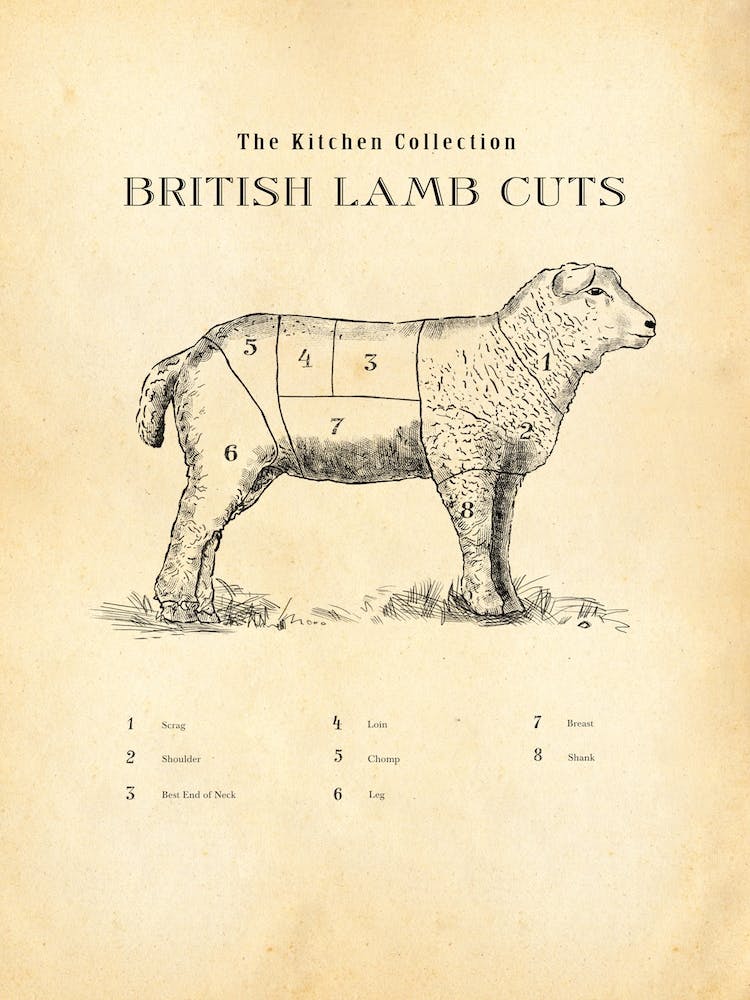 British Lamb Cuts Butcher Chart