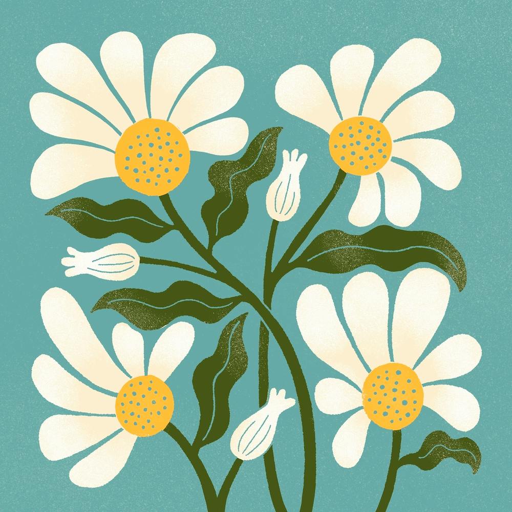 Daisy Blooms In Blue Square