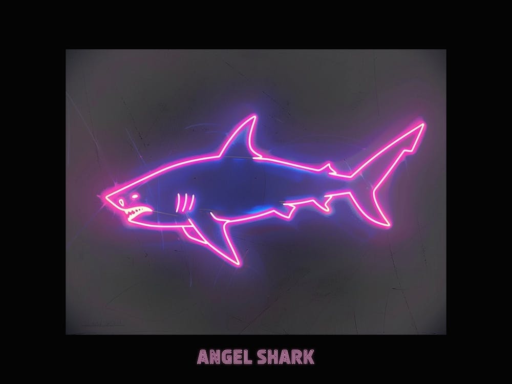 Neon Pink Magenta Angel Shark Poster 3