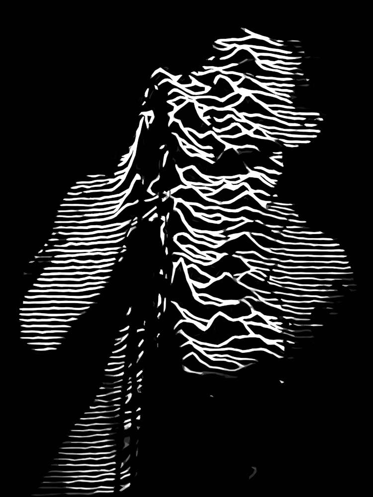 Ian Curtis Joy Division 9