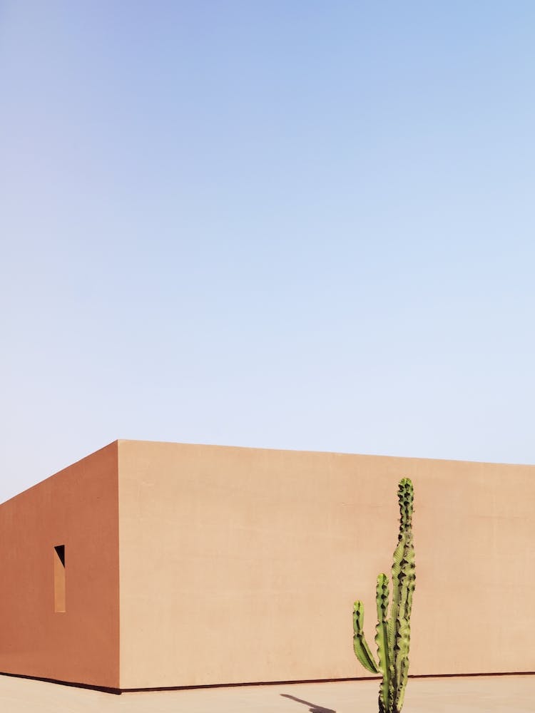 Cactus House