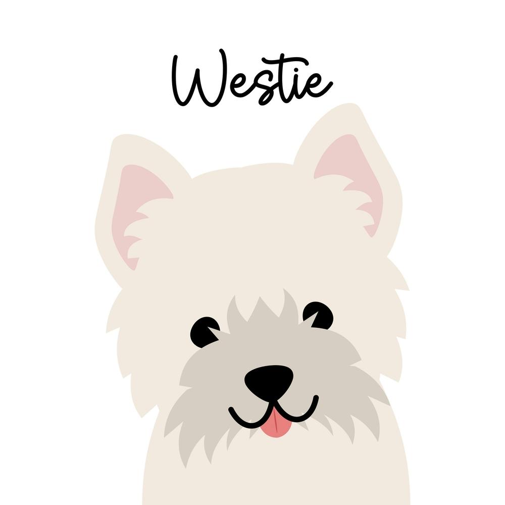 Westie