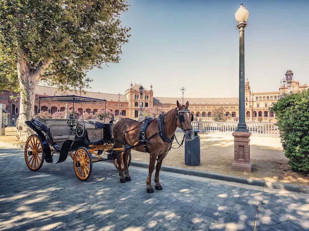 Tourism In Seville