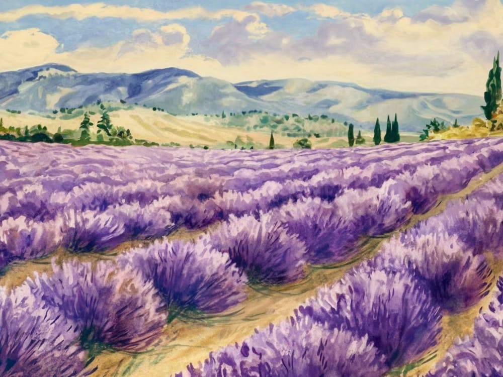 Lavender Fields Illustration