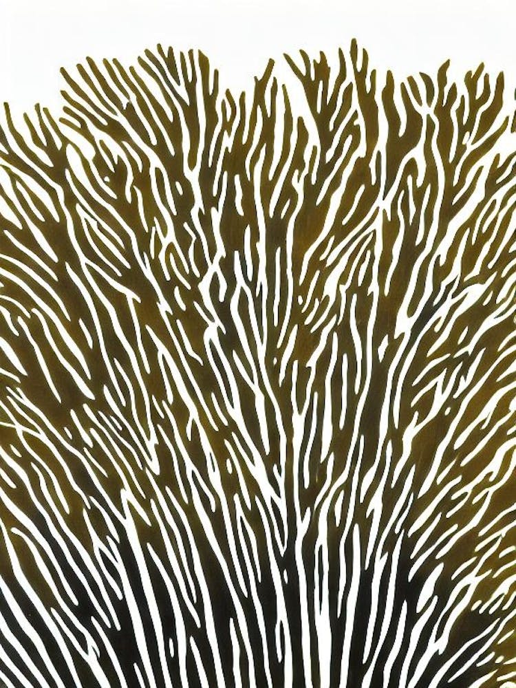 Acropora Palifera Iii Linocut