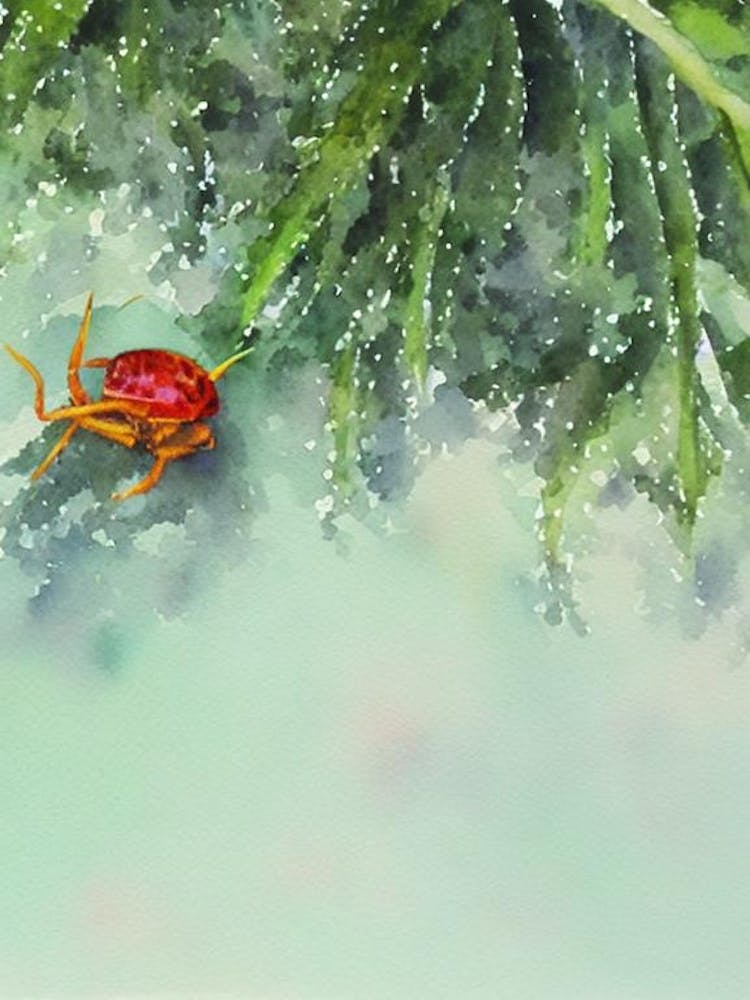 Red Jamaican Crab Storybook Watercolour