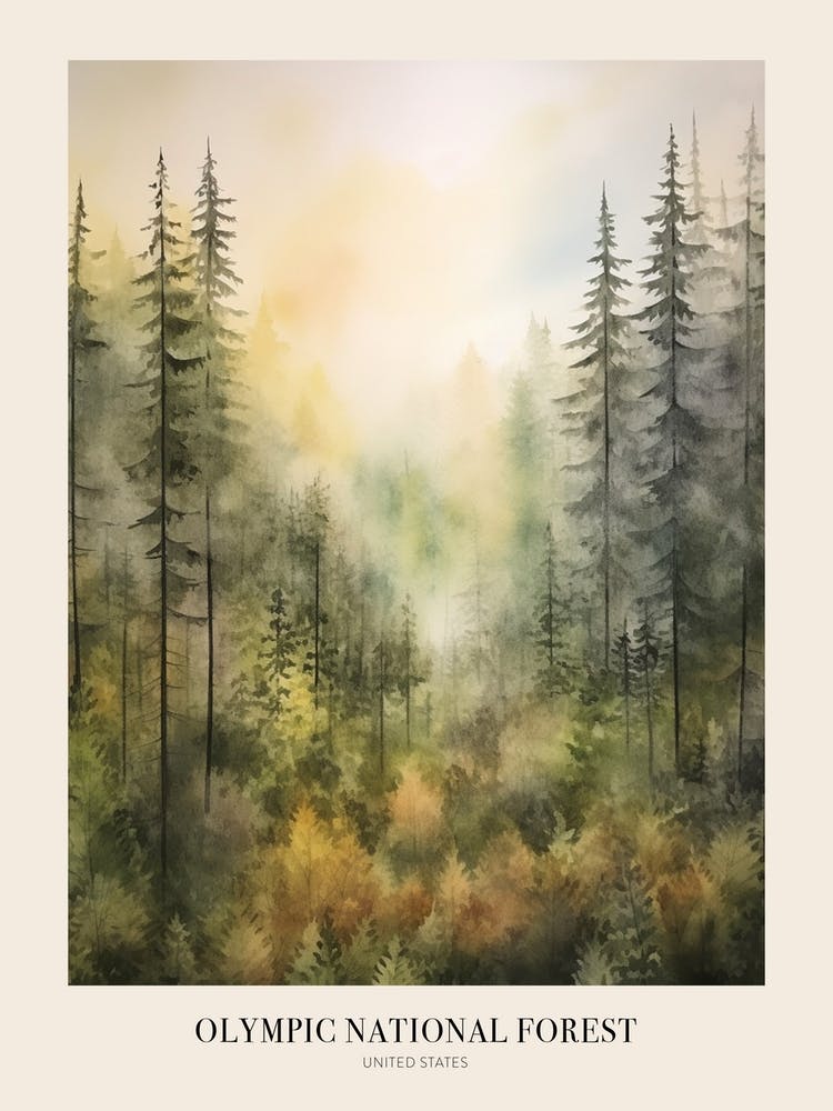 Autumn Forest Landscape Olympic National Forest 2 Poster