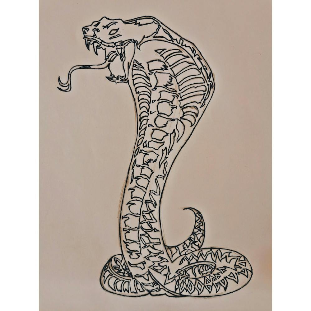 Cobra