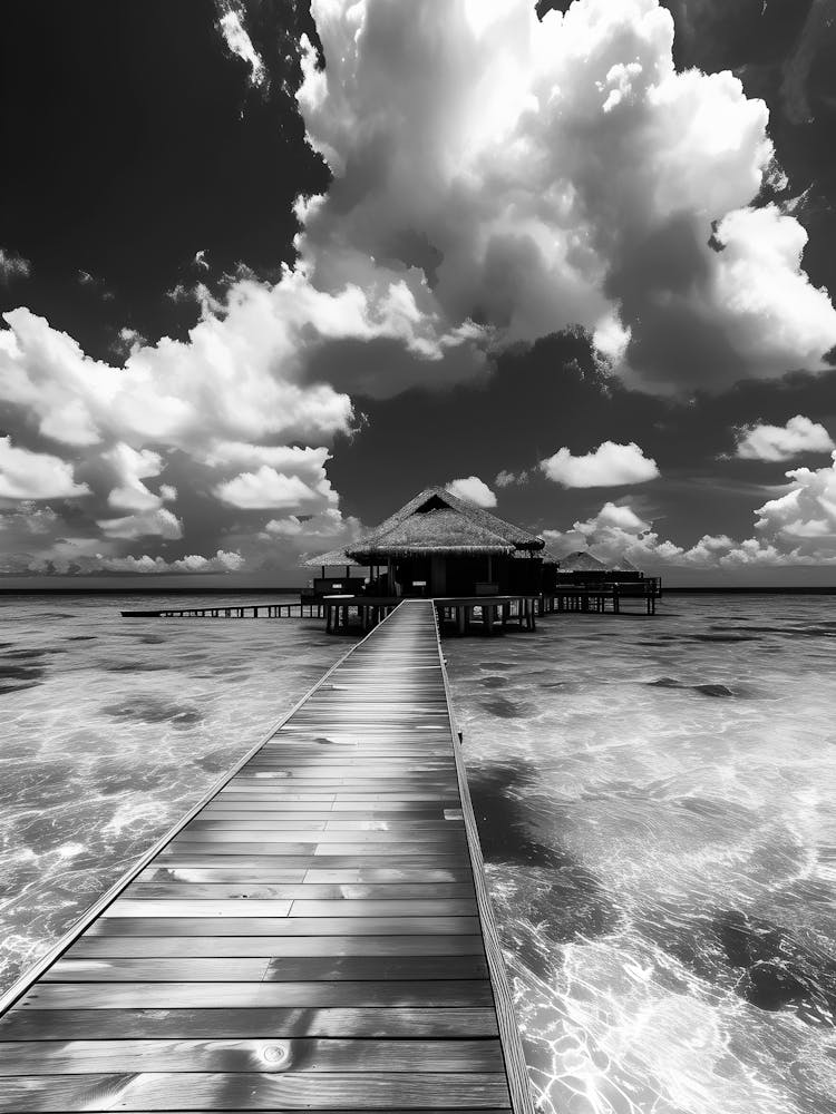 Black And White Pier 3