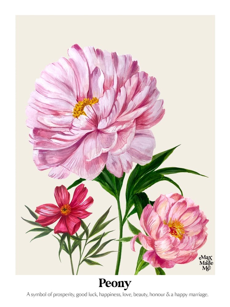 Peony
