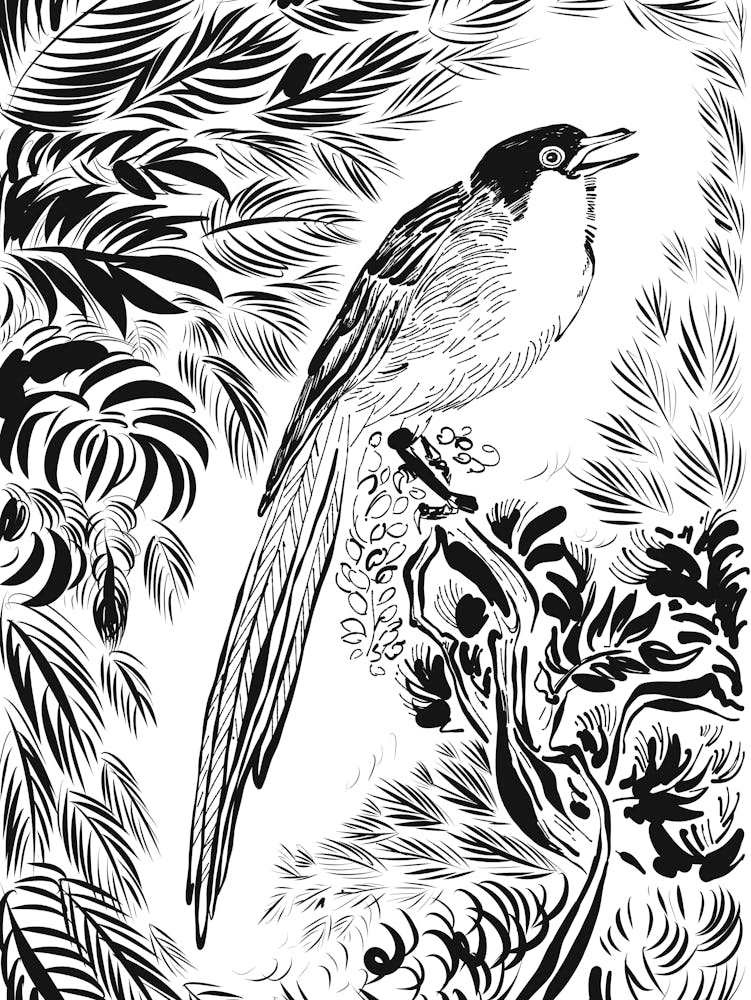 Vogel im Dschungel