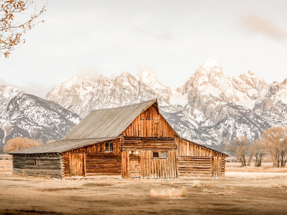 Abandoned Cabin