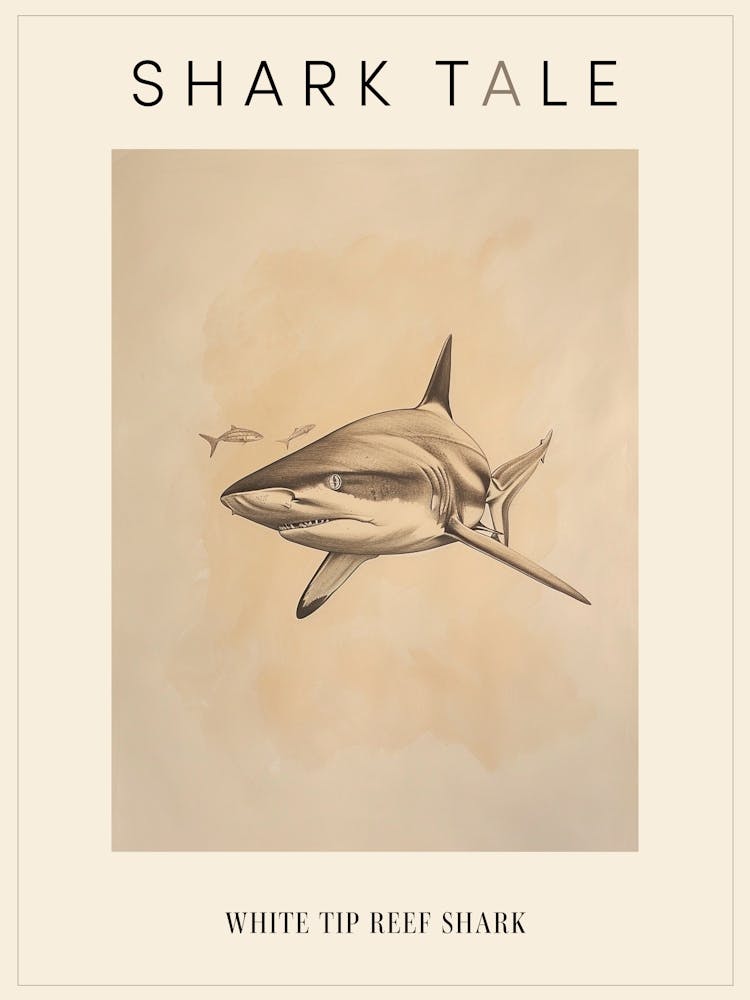 White Tip Reef Shark Vintage Illustration 3 Poster