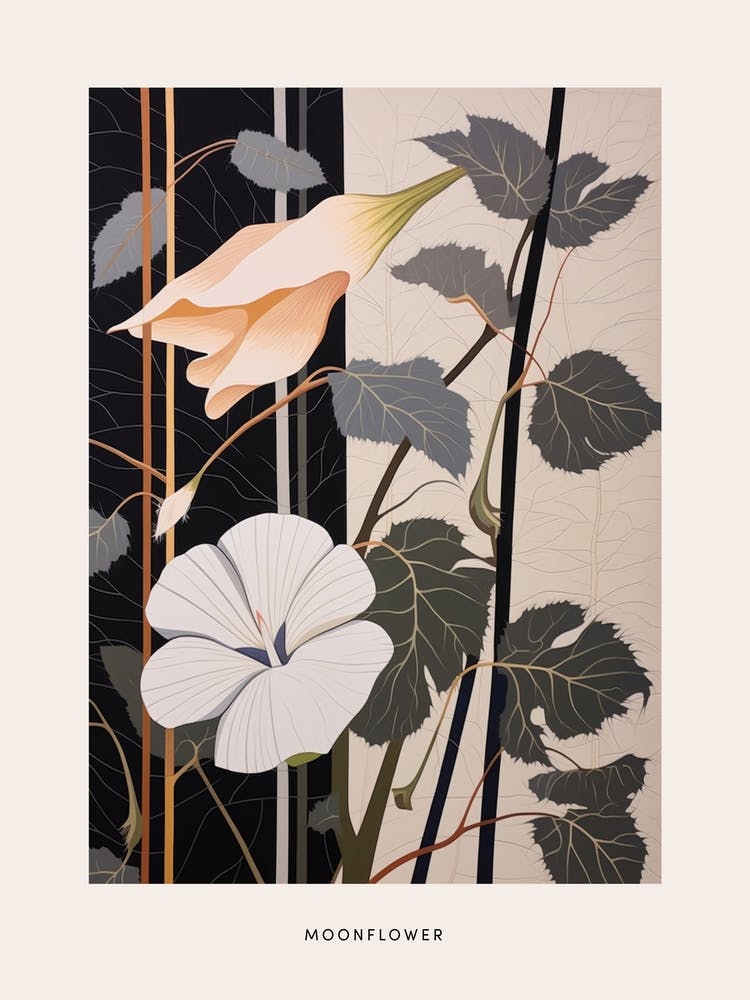 Flower Illustration Moonflower 4 Copy Poster