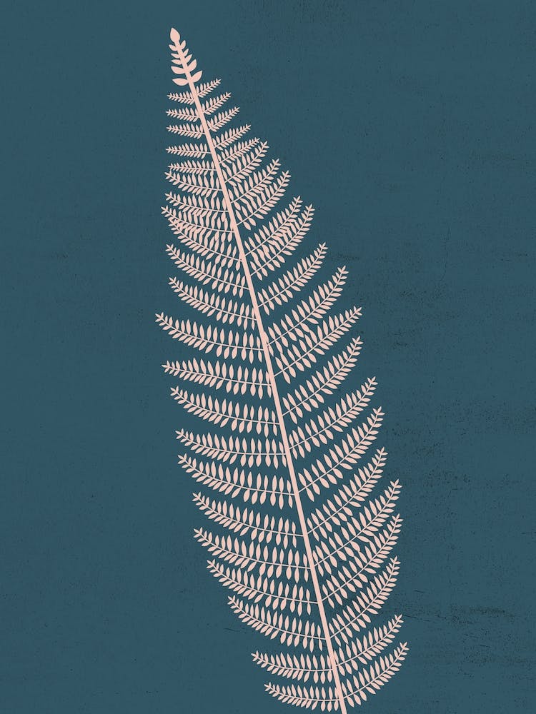 Fern Leaf