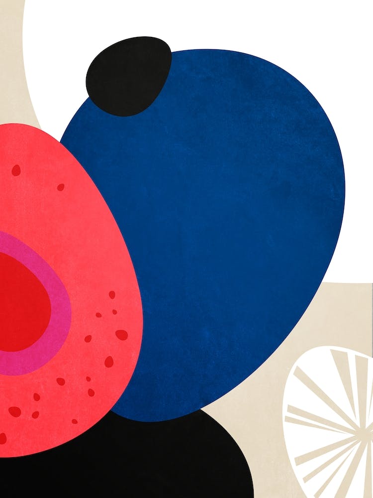 Pebbles And Seashells