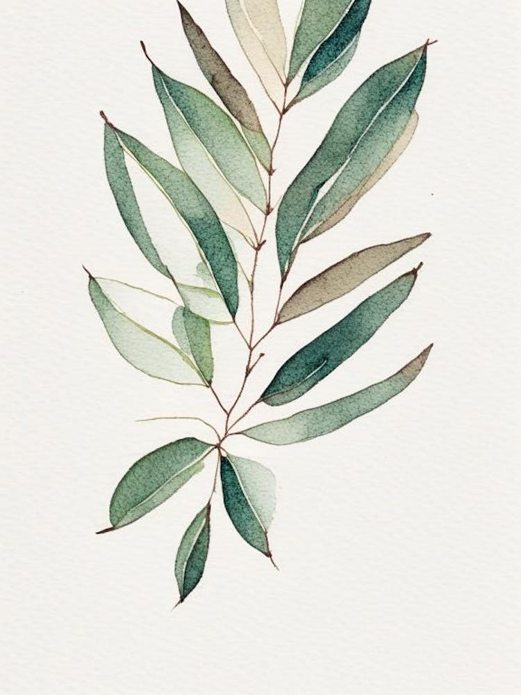 Wax Myrtle Leaf Minimalist Watercolour 3