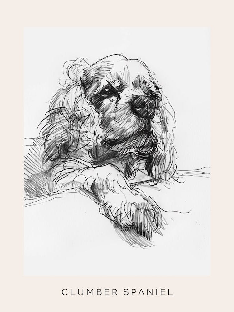 Clumber Spaniel Dog Line Sketch 4 Poster