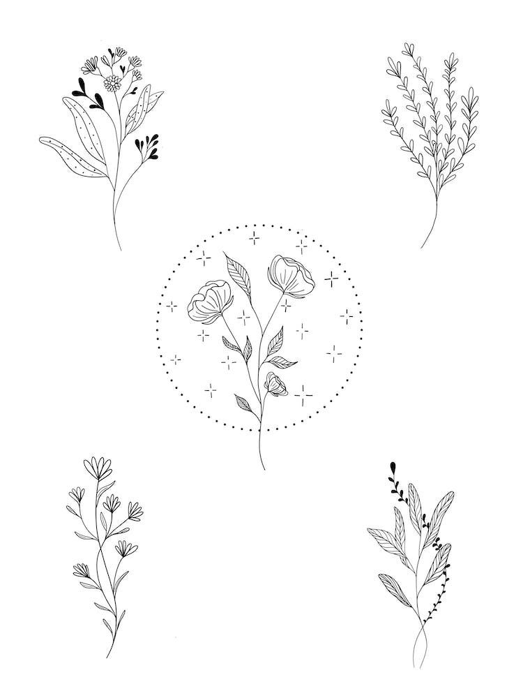 Botanical Magic