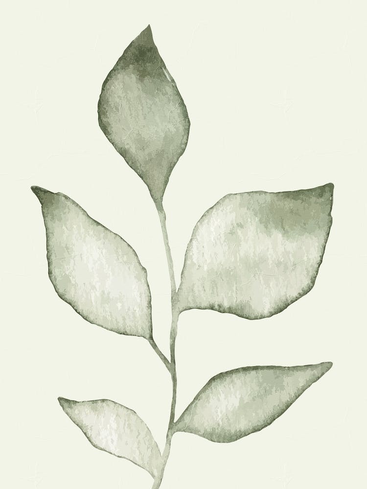 Pale Green Leaves