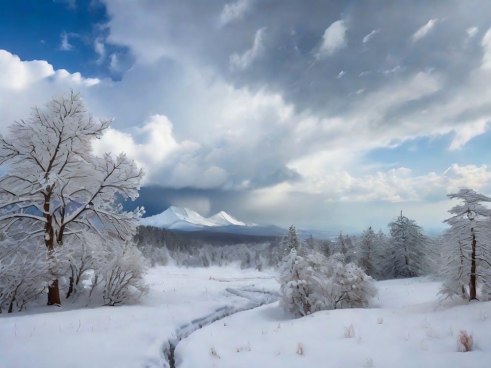 Snowy Landscape