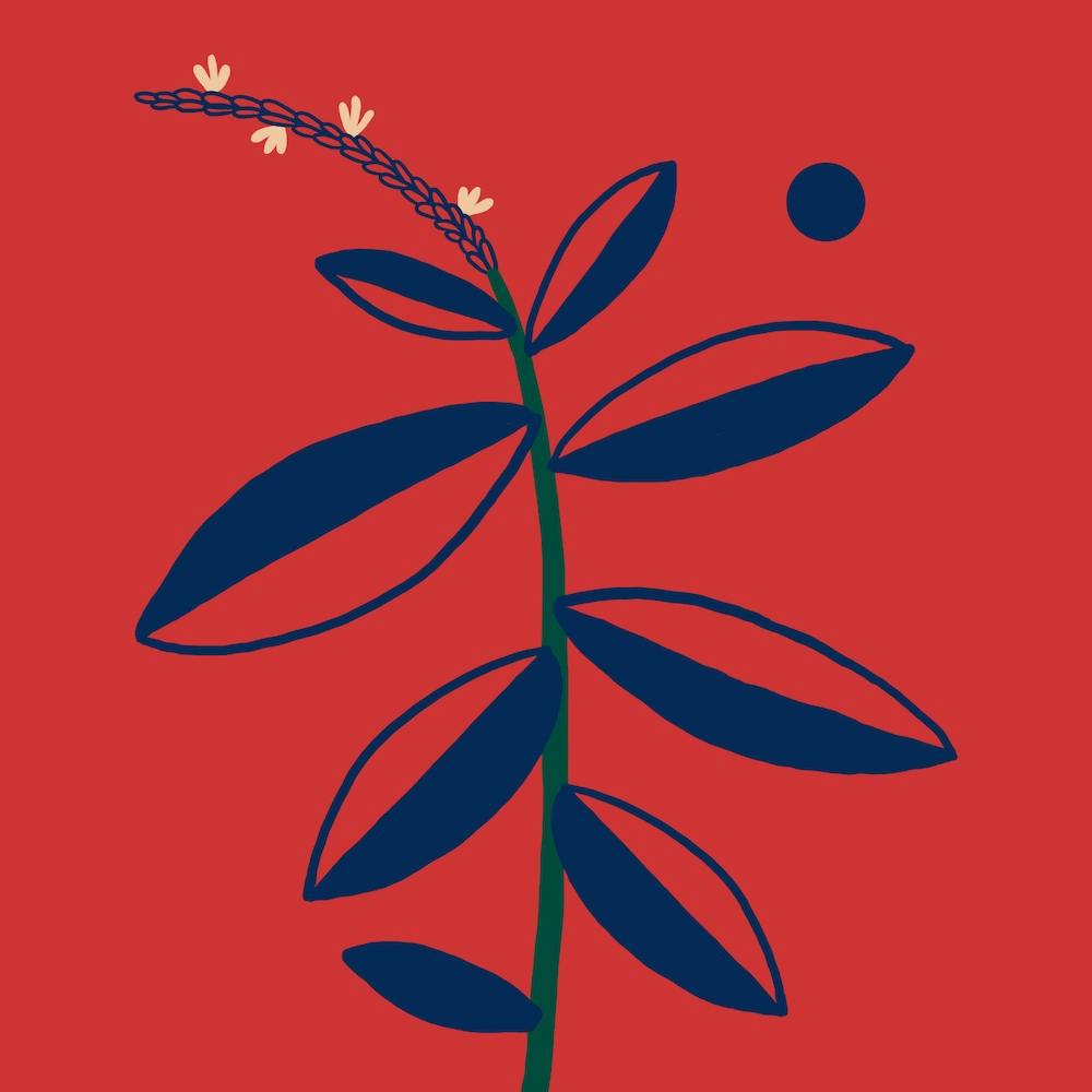 Hen Weed Garden Square