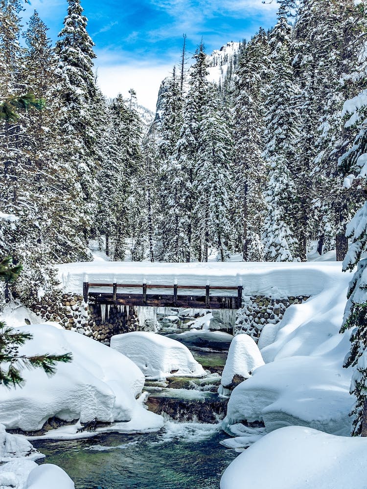 Snow Covered Bridge Portrait