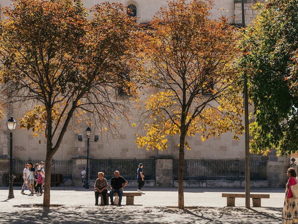 People In A Plaza, Alcalá de Henares, Spain