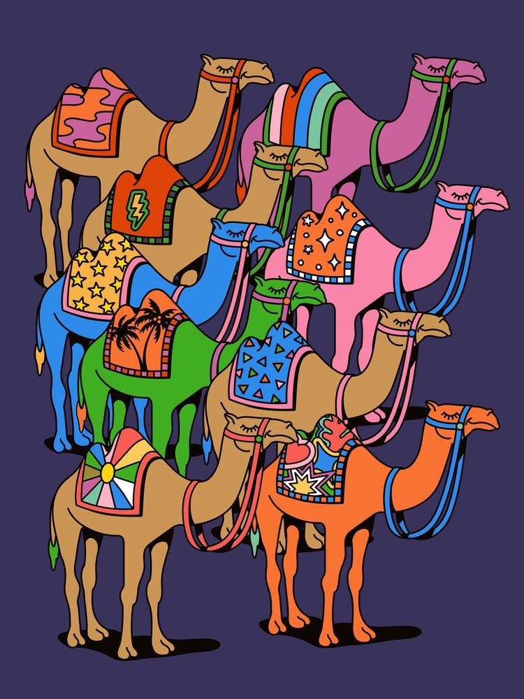 Colorful Desert Camels Colourful Morroco Sahara World Traveller Dubai Africa