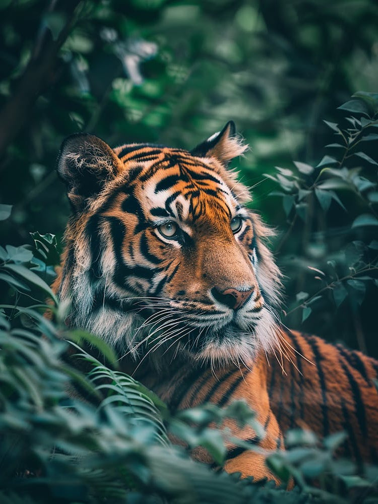 Tiger In The Jungle 2