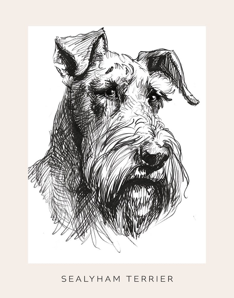 Sealyham Terrier Hund Strichzeichnung 2 Poster