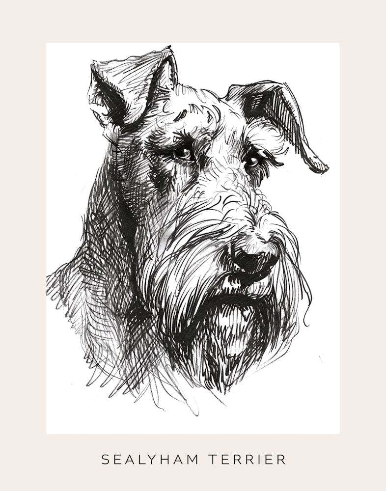 Sealyham Terrier Dog Line Art 2 Poster