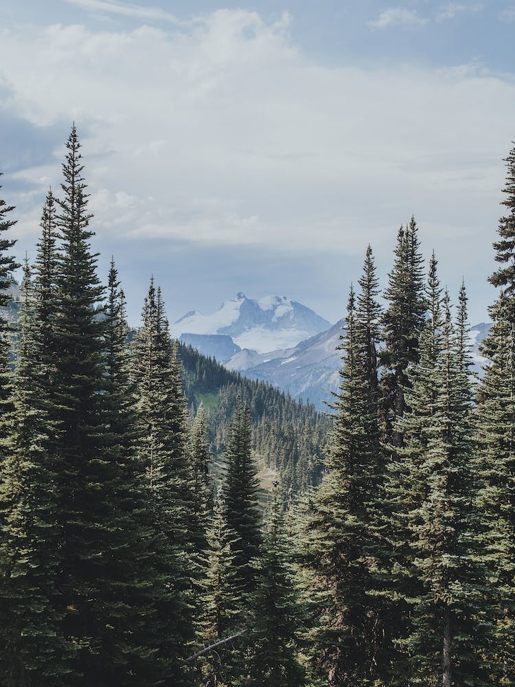 Garibaldi Park C.-B.