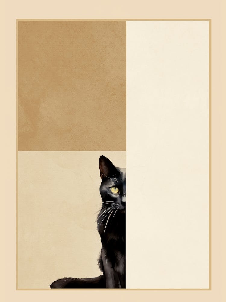 Cat 1