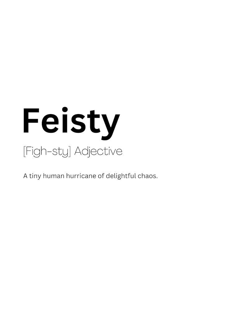 Feisty Definition Meaning