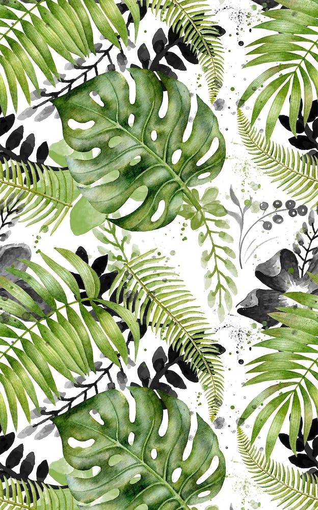 Leaves